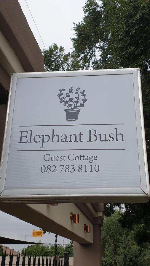 Elephant Bush Guest Cottage Alberton Eksteriør bilde